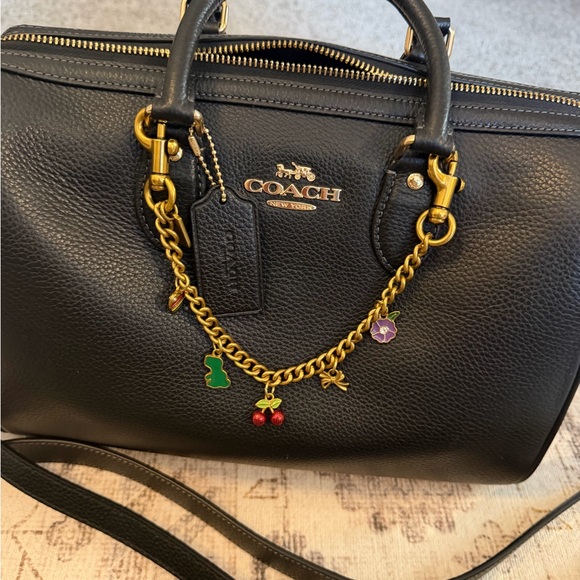 Large Coach Rowan - Picture 10 of 12